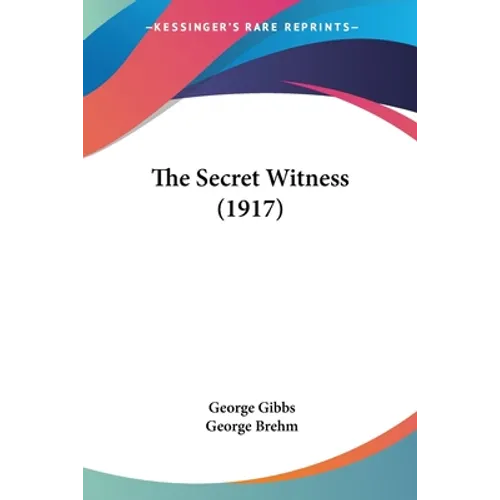 The Secret Witness (1917) - Paperback
