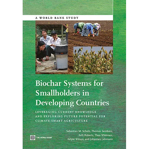 Biochar Systems for Smallholders in Developing Countries: Leveraging Current Knowledge and Exploring Future Potential for Climate-Smart Agriculture - Paperback