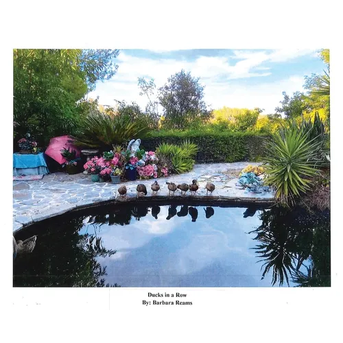 Ducks in a Row - Hardcover