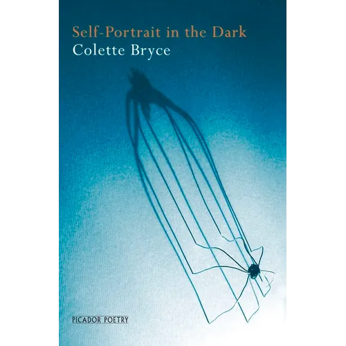 Self-Portrait in the Dark - Paperback