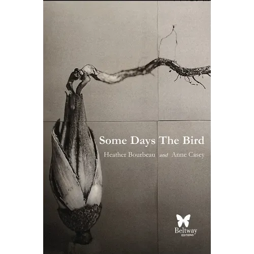 Some Days the Bird - Paperback