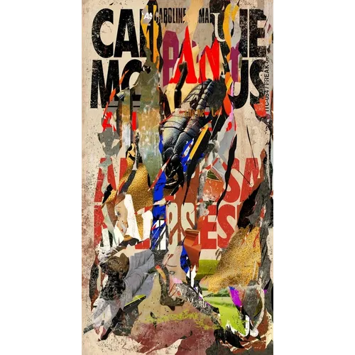 Anamnesis - Paperback