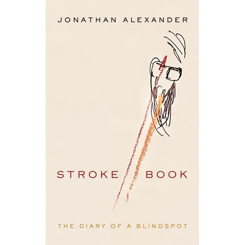 Stroke Book: The Diary of a Blindspot - Paperback