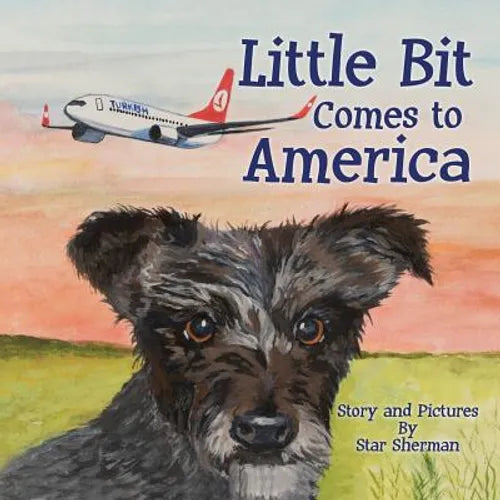 Little Bit Comes to America - Paperback