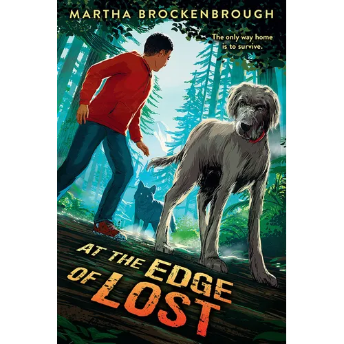At the Edge of Lost - Hardcover