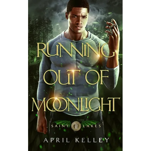 Running Out of Moonlight (Saint Lakes #2): An M/M Dragon Shifter Romance - Paperback