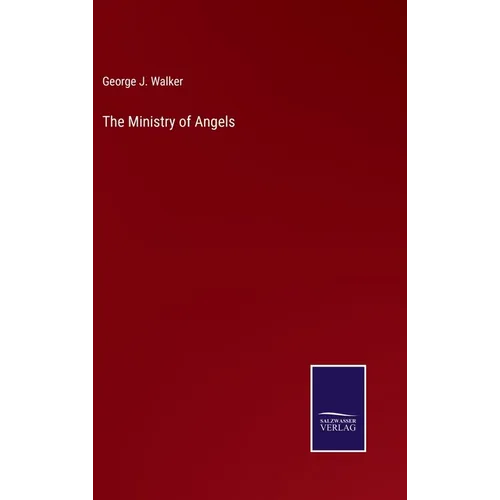 The Ministry of Angels - Hardcover